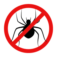 Traitement araignées - Désinsectisation New Cap Business Maroc