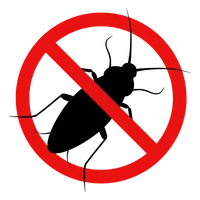 Traitement cafards - Désinsectisation New Cap Business Maroc