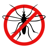 Traitement moustiques - Désinsectisation New Cap Business Maroc