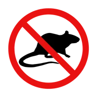 Élimination souris rats - Dératisation New Cap Business Maroc