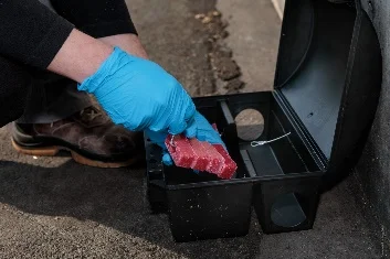 Service de dératisation professionnelle