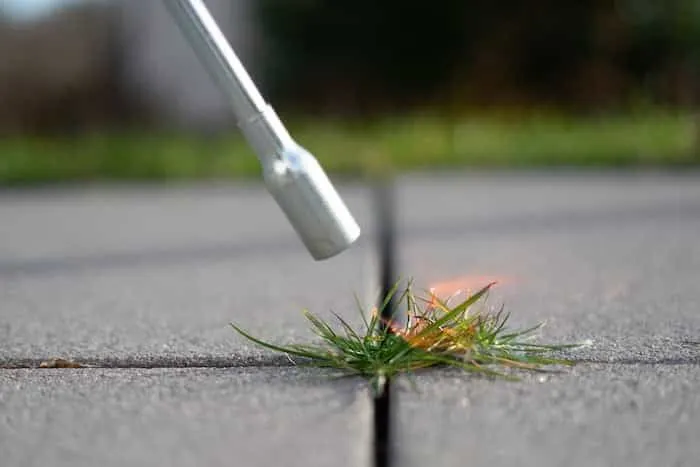 Désherbage thermique sur une allée