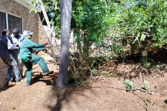 Service de désherbage professionnel Maroc