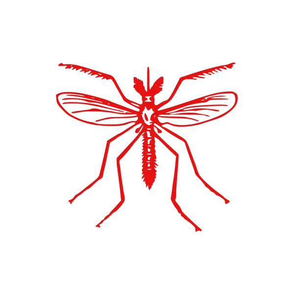 Démoustication - Traitement moustiques New Cap Business Maroc