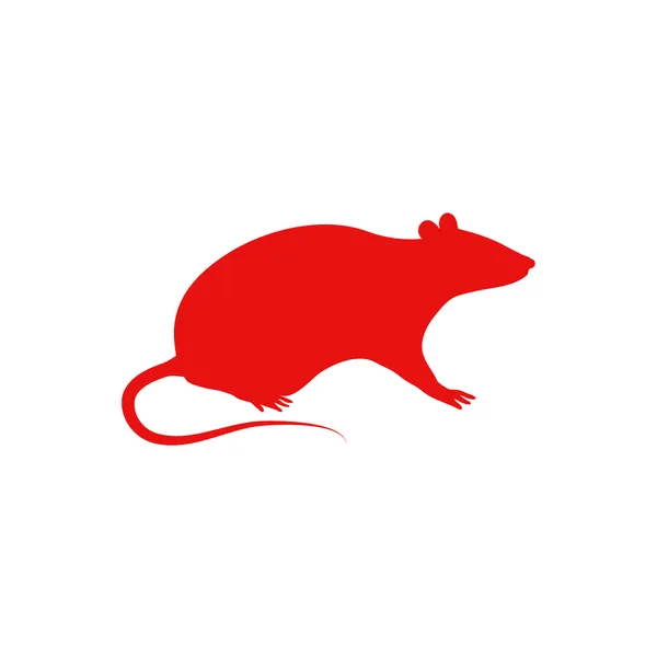 Dératisation rongeurs - Élimination rats souris Maroc